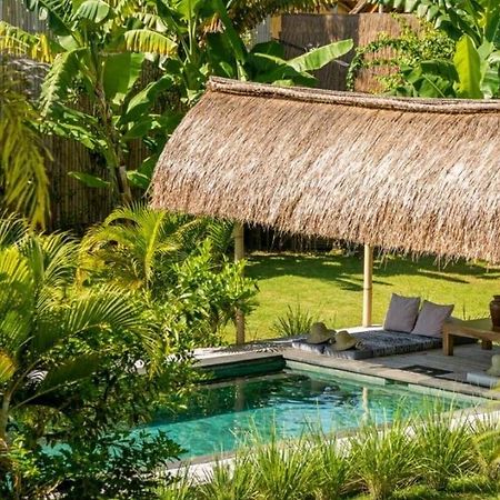 Manusia Dunia Green Lodge Гили Еър Екстериор снимка